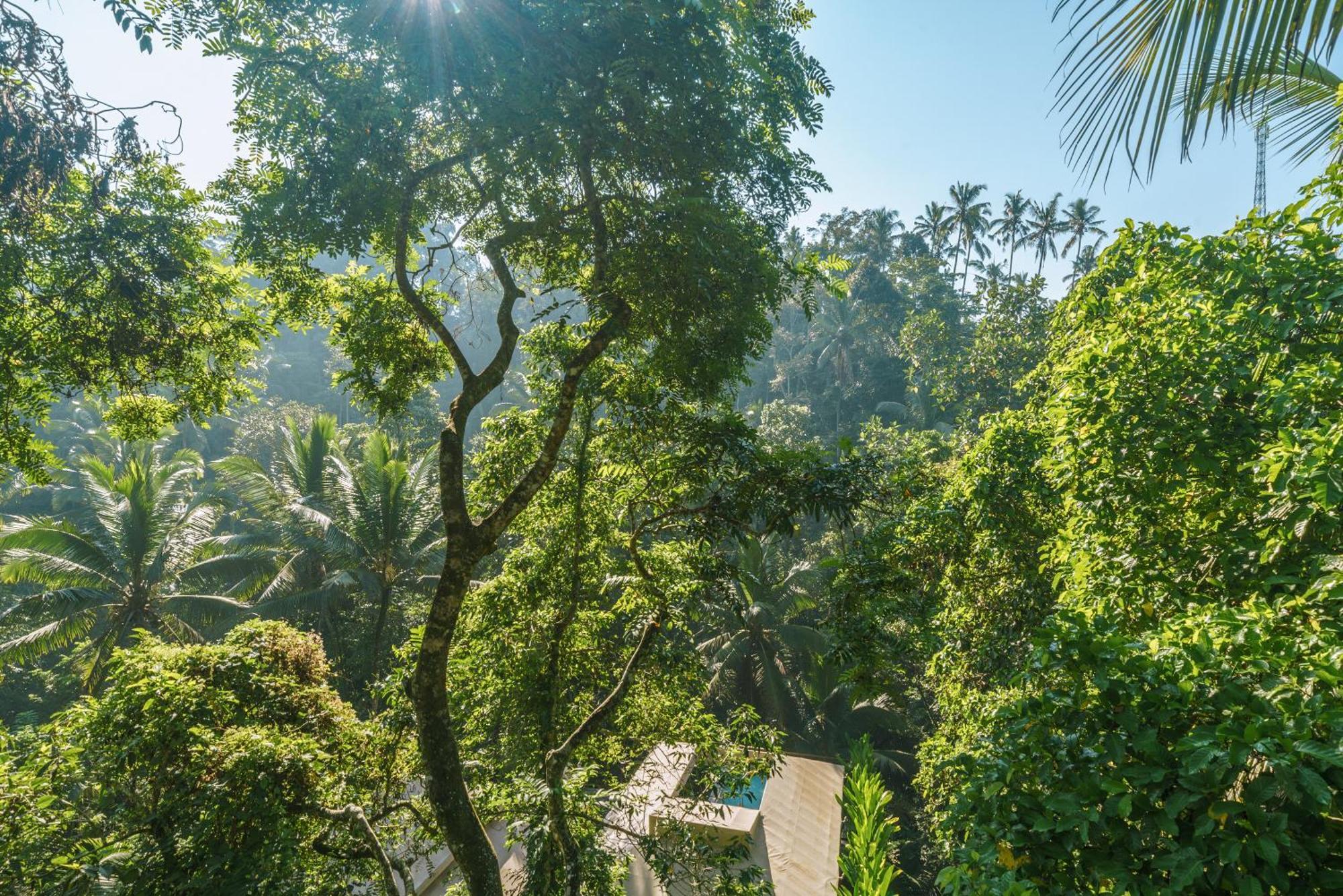 K Club Ubud Værelse billede